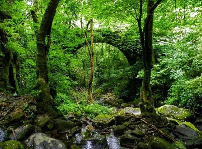 Διαμέρισμα Centrico A 1km De La Playa. Puentedeume
