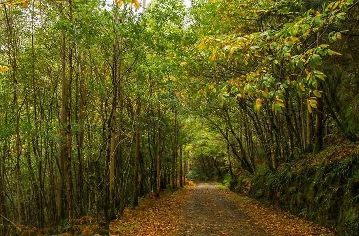 Centrico A 1km De La Playa. Διαμέρισμα